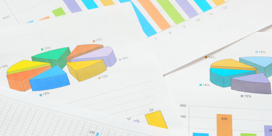 Coloured pie and bar charts